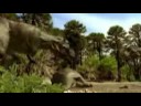Tyranosaurus Rex