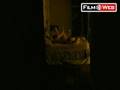 videos de Cięcie 17.10.08