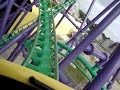 Jelena i misko na Roler Coaster -u Jelena i misko na Roler Coaster -u