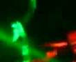 videos de Dj Bellzeboo666 @ Braindrop 27th June 2008