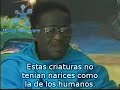 la agenda reptiliana   extraterrestres en africa  7 de 13 