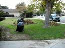 Yard Work