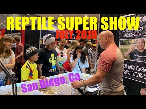 YouTube reptile video