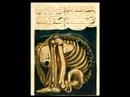 Jacob de Haan - THE BOOK OF URIZEN excerpt 2
