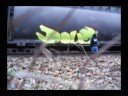 GRAFFITI - DOUG DREALER - #4 - BOMBING - VANDAL