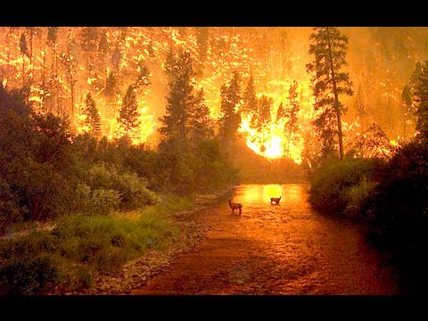 FIRES