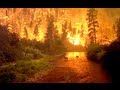 OUT OF CONTROL FIRE