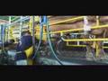 video ganaderia 5