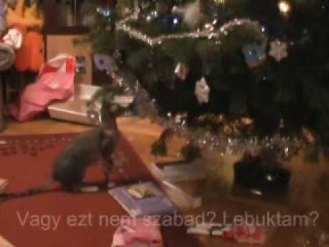 See video