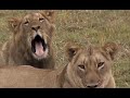 Pumba Game Reserve