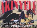akinyele - you know my style - Vagina Diner