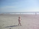 San Diego Beaches - 2008