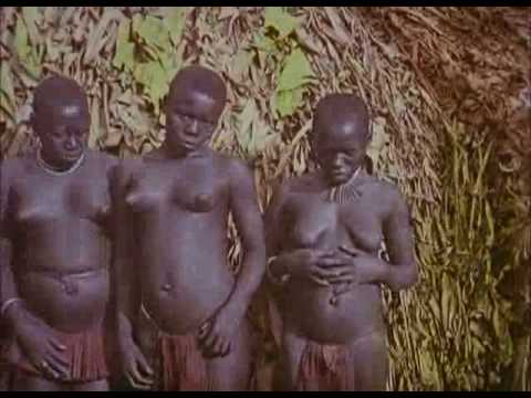pygmy -