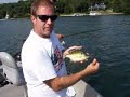 Large gills on spoons