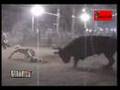 LOS DESTRUCTORES EN ARIO DE ROSALES