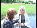 Fästingar Fästingar
