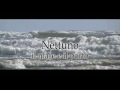 Nettuno. Il mare e il porto.
