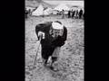 60 عام على نكبة فلسطين