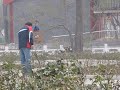 Oiseaux chanteurs Jardin du Peuple Tianjin MVI_8222