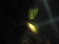 Chuuk Wreck Penetration
