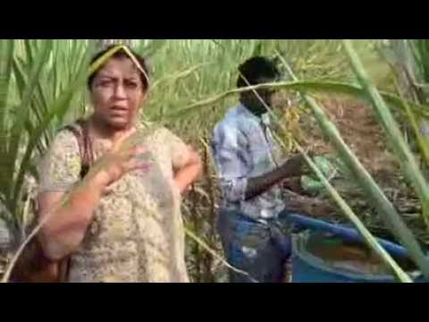 how to practice zero budget natural farming