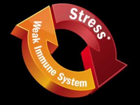 how to relieve stress in islam