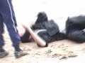 Hull Kung Fu - The Death of the Ninja