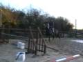 videos de 4 yrs 16 hh Skewbald Irish Sport Horse Witham