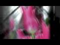 videos de Iowa Travel