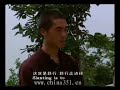 Shi De Jian ? ??? Shaolin Application Xiao Hong Quan Xin Yi Ba Shi De Jian ? ??? Shaolin Application Xiao Hong Quan Xin Yi Ba