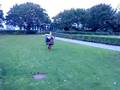 videos de pit biking hungover crash