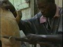 Senegal Travel Doc  Part 02