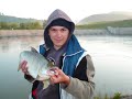 pescuit cu pikeman si pap\ pescuit cu pikeman si pap\