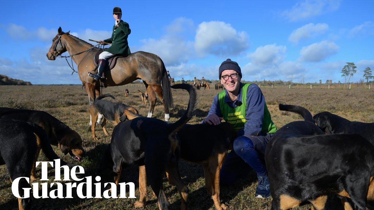 Guardian journalist chased by bloodhounds in fox hunting alternative