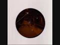 ARIL BRIKHA  - DEEPARTURE IN TIME