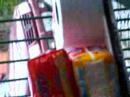 Ana ch� de bb da J�lia