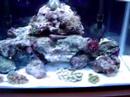 my 10g