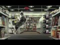 Click to View : Spot , Los Perros de Mariscal Verano. FNAC