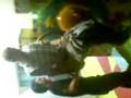 videos de Padraig on kids toy