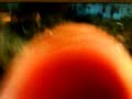 Thumbnail #2