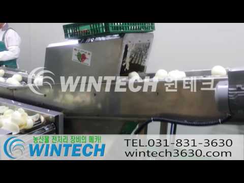 Onion screening conveyor equipment