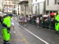 videos de Palio Asolo 2008 - arrivo Pederiva