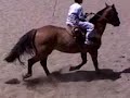 rodeo en familia