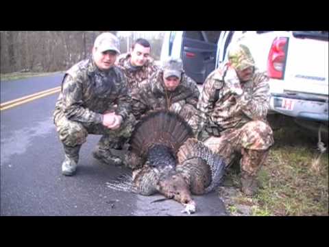 2010 Sc Turkey Hunt