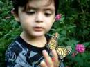 Adrián en el Mariposario Adrián en el Mariposario