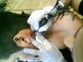 videos de tatuando a Juan Carlos