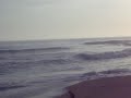 Miss Reef