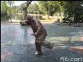 chen-zhao-kui-tai-ji-san-lu-duan-quan-24-postures.html
