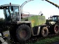 Compilatiefilmpje: Ma�s en bieten 2007(september-oktober)