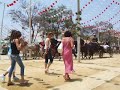 Feria de la Manzanilla (Sanlúcar)